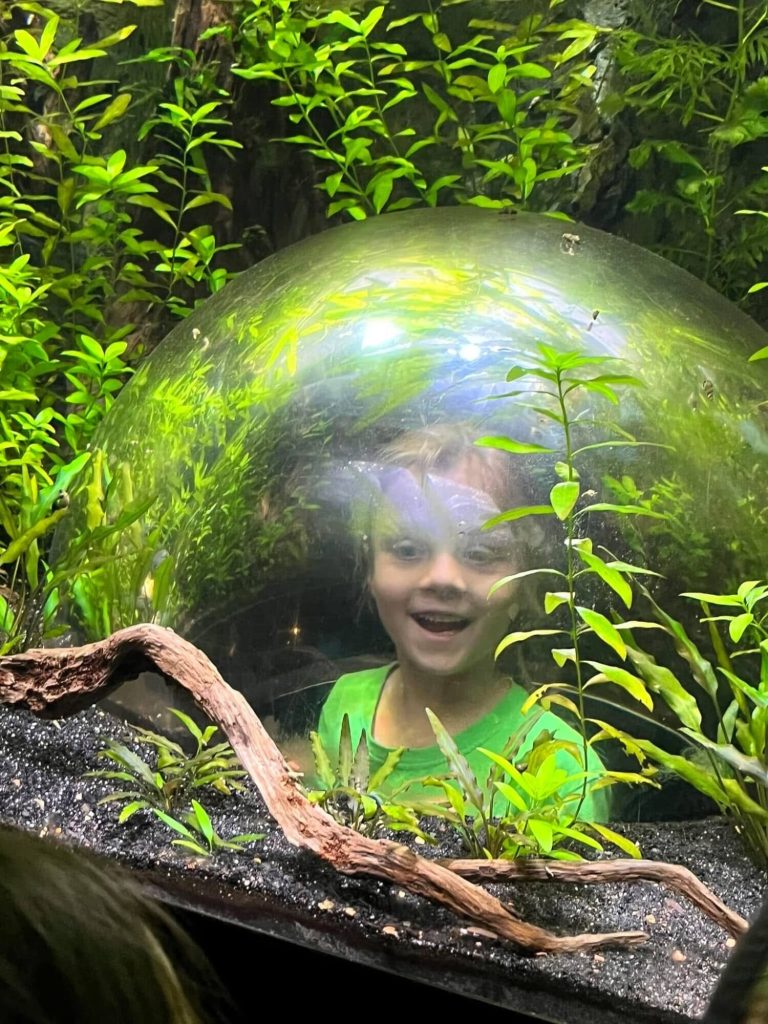 Coquitlams Best After Summer Program